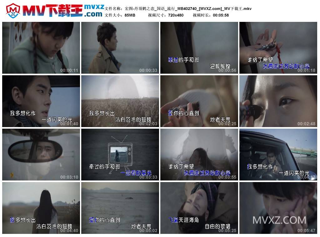 宏图-丹顶鹤之恋_国语_流行_MB402740